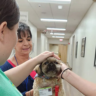 Trevor therapy dog at Berkeley Hospital